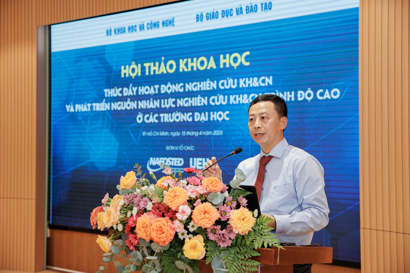 cá cược thể thao hul city